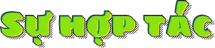 hoptac-32win-live