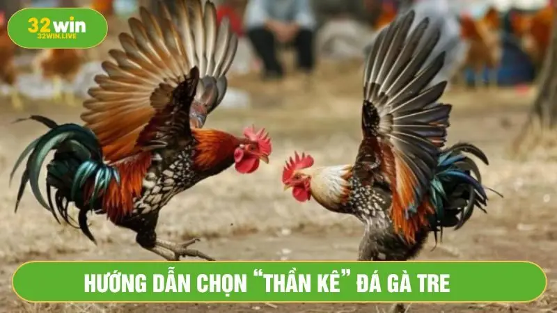 Khả năng né đòn tốt và cú đá mạnh mẽ