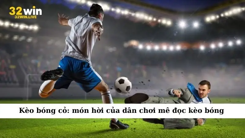Kèo bóng cỏ